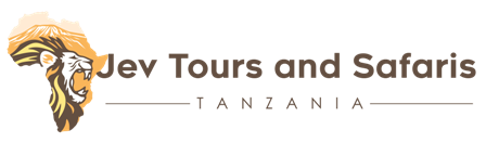 Jev Tours and Safaris Web Logo