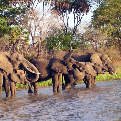 Selous Game Reserve in Tanzania